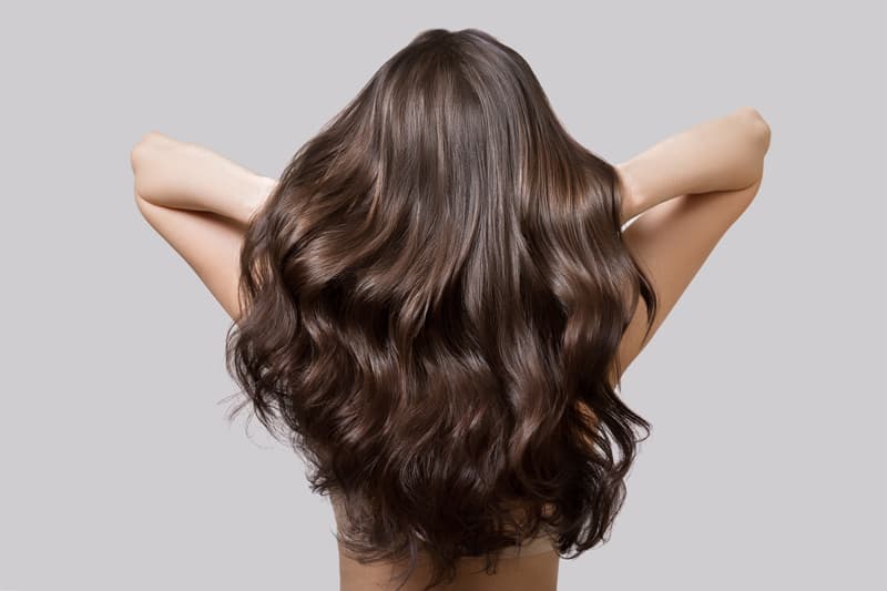  Marcas de calidad para un cuidado único con tu cabello